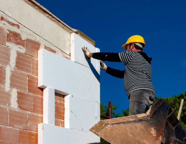 Best Local Insulation Services  in Sturgis, MI